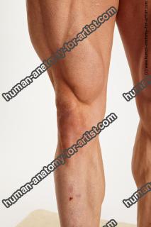 various reference of alberto 27